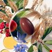  خرید کپسول فیتو فانر ۱۲۰ عددی اصل | ضد ریزش و تقویت مو و ناخن