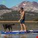  خرید اینترنتی پدل برد بادی SKATINGER مدل Sunset رنگ غروب