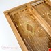  تخته نرد سنندج کتابی گردو همراه با مهره sh597 – هنر دست‌ساز کردستان – خرید اینترنتی از ایران پاساژ 