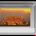  فر رومیزی DT-811 Ultra داتیس 