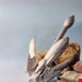 لنگر تاشو پدل برد، کایاک و قایق‌های بادی – طراحی جمع‌شونده و مقاوم – خرید اینترنتی از ایران پاساژ