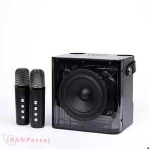 خرید اینترنتی اسپیکر بلوتوثی قابل حمل کلومن مدل KS-150 KARAOKE 