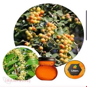 خرید اینترنتی عسل کنار