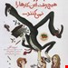  کتاب آدم بزرگ ها هیچ وقت این کارها را نمی‌کنند / نویسنده دیوید کالی