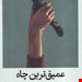   کتاب «عمیق‌ترین چاه» – نویسنده: نادین برک هریس 