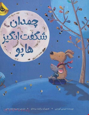 کتاب «چمدان شگفت‌انگیز هاپو»/ نویسنده: تریسی کوردروی