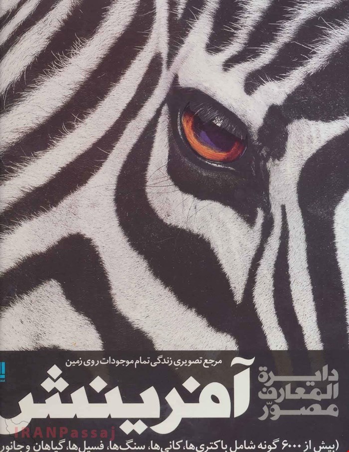 کتاب «آفرینش»  / نویسنده: دیوید برنی