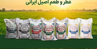 تفاوت بین برنج نیم دانه، لاشه، سرلاشه و ریز دانه در چیست؟